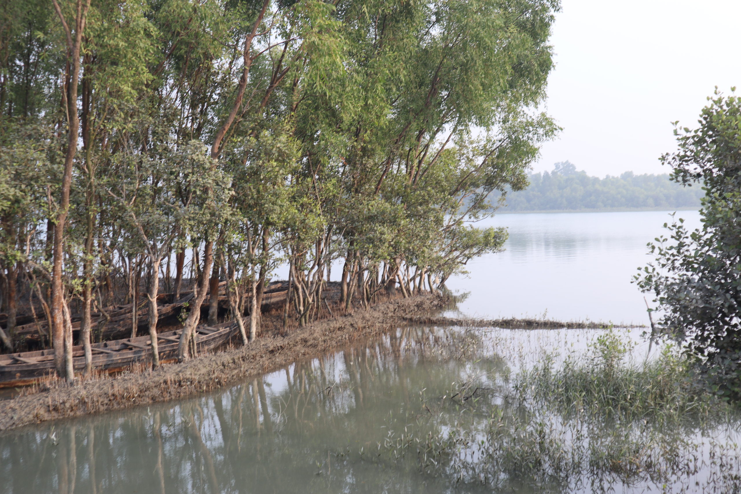 Sundarbans Python HOME - Engage 4 Sundarbans