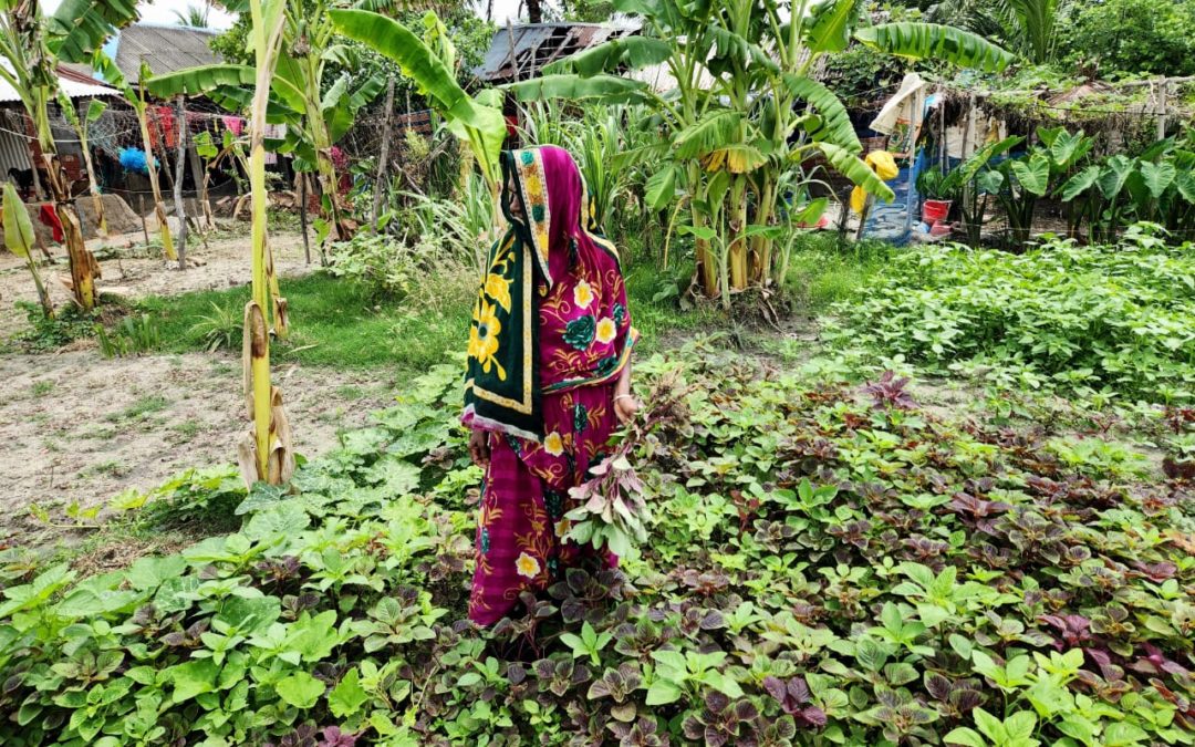 Rahima’s Commitment to Crop Diversity